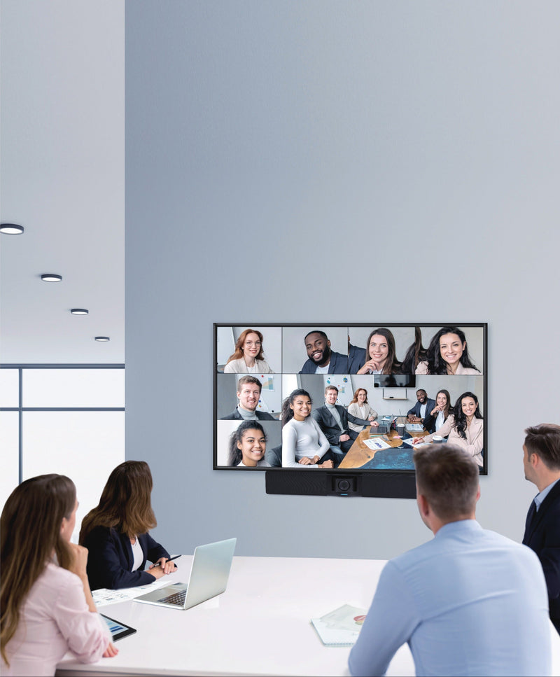 VB342 Pro demonstration showing multi-participant video conference with clear participant visibility