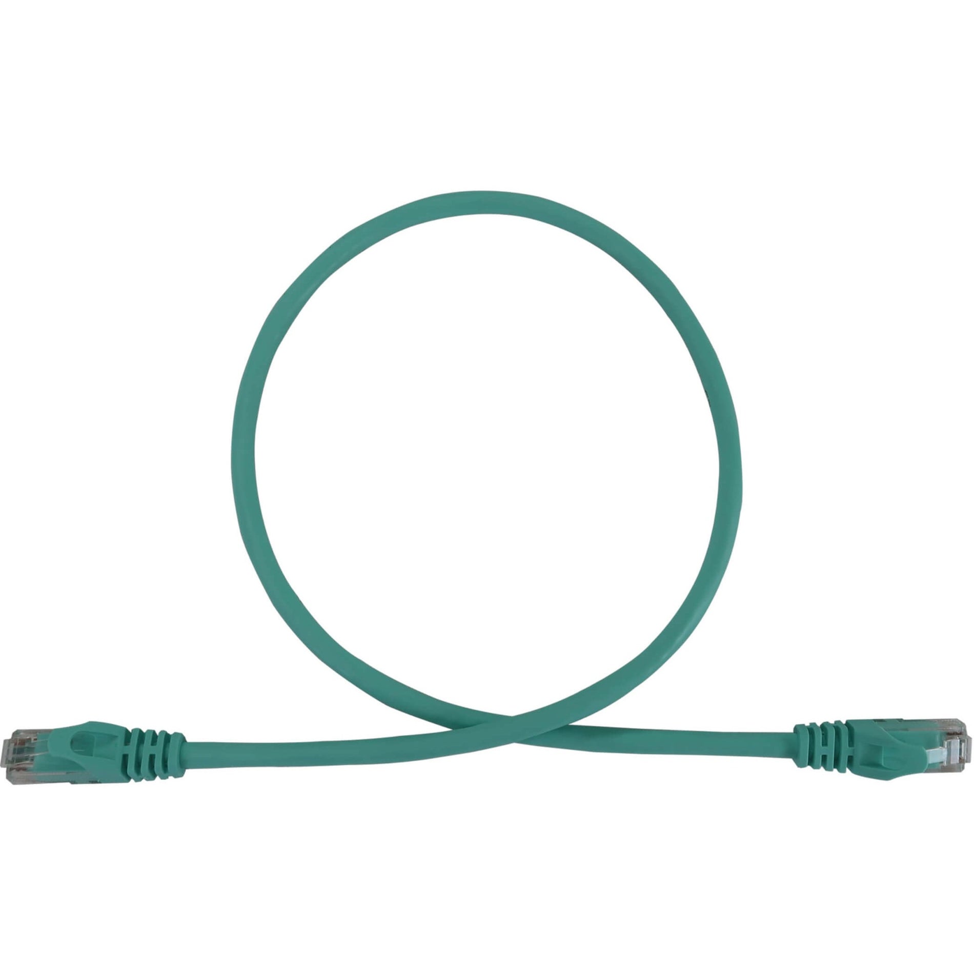 2-foot aqua Cat6a ethernet cable with RJ45 connectors showing full cable loop-alternate-image1