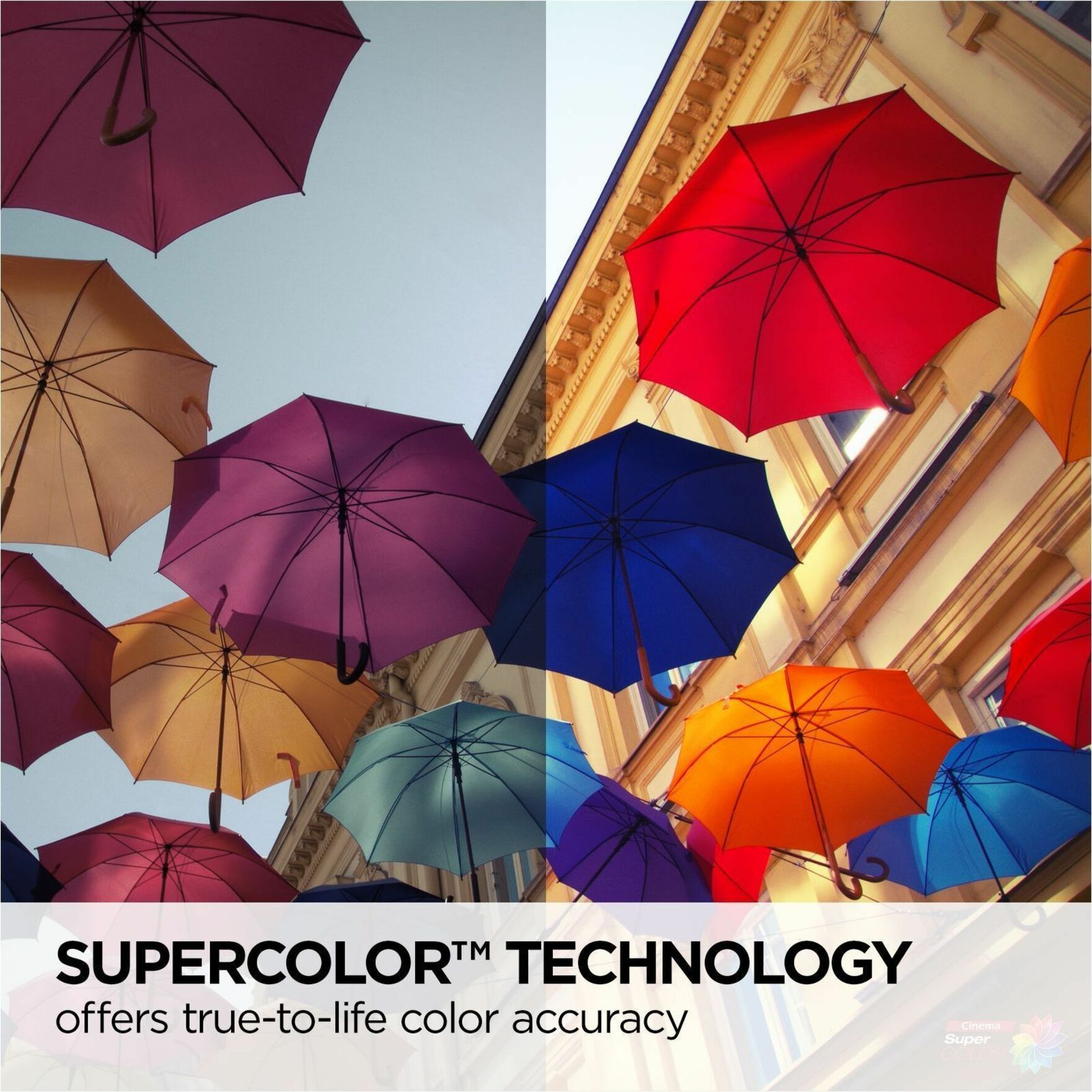 Vibrant color display demonstration with umbrellas-alternate-image9