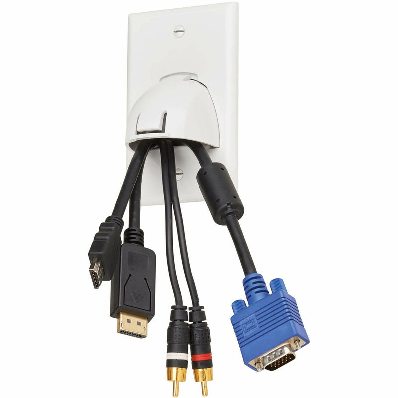 Wall plate shown with multiple AV cables installed