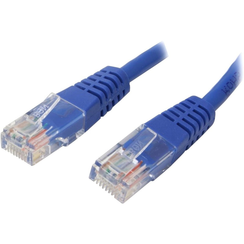 Close-up view of StarTech.com Cat5e cable's gold-plated RJ45 connectors with blue strain relief and clear housing