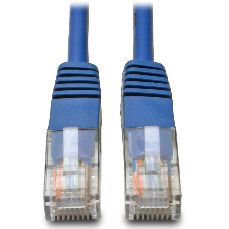 Close-up view of two blue Cat5e cable RJ45 connectors showing transparent housing and internal wiring