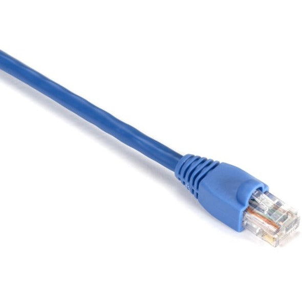 Blue Cat.5e network cable with snagless boot and RJ-45 connector showing gold-plated contacts