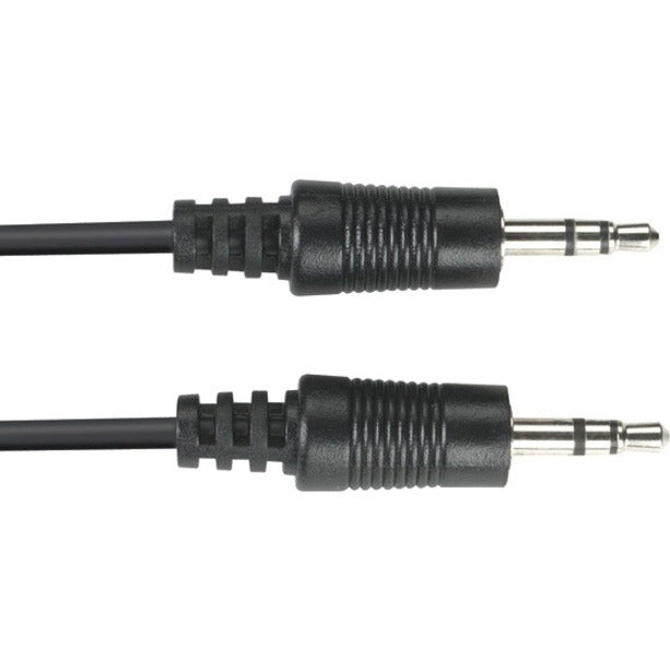 Close-up view of Black Box EJ110-0010 audio cable showing 3.5mm stereo connectors with strain relief and molded construction