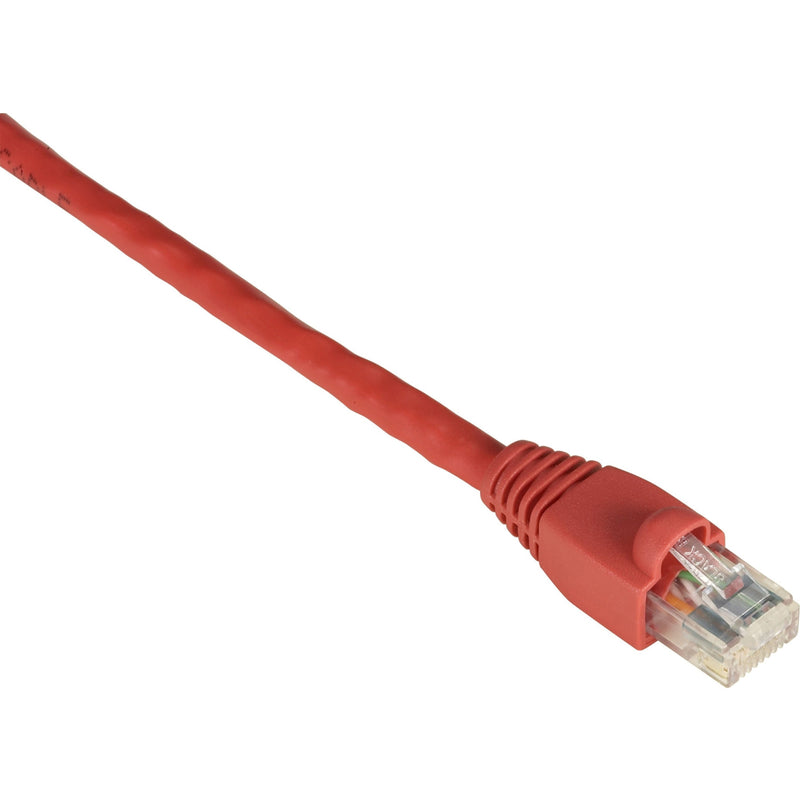 Red Cat.6 ethernet cable with gold-plated RJ-45 connector and snagless boot design