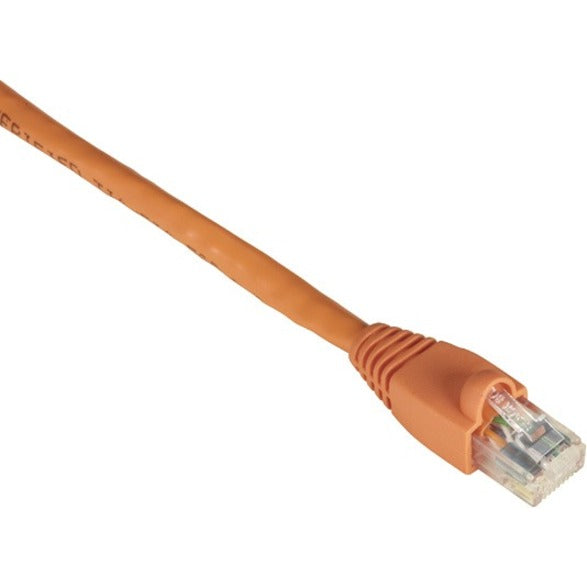 Close-up view of orange Cat6 network cable with snagless RJ-45 connector showing gold-plated contacts