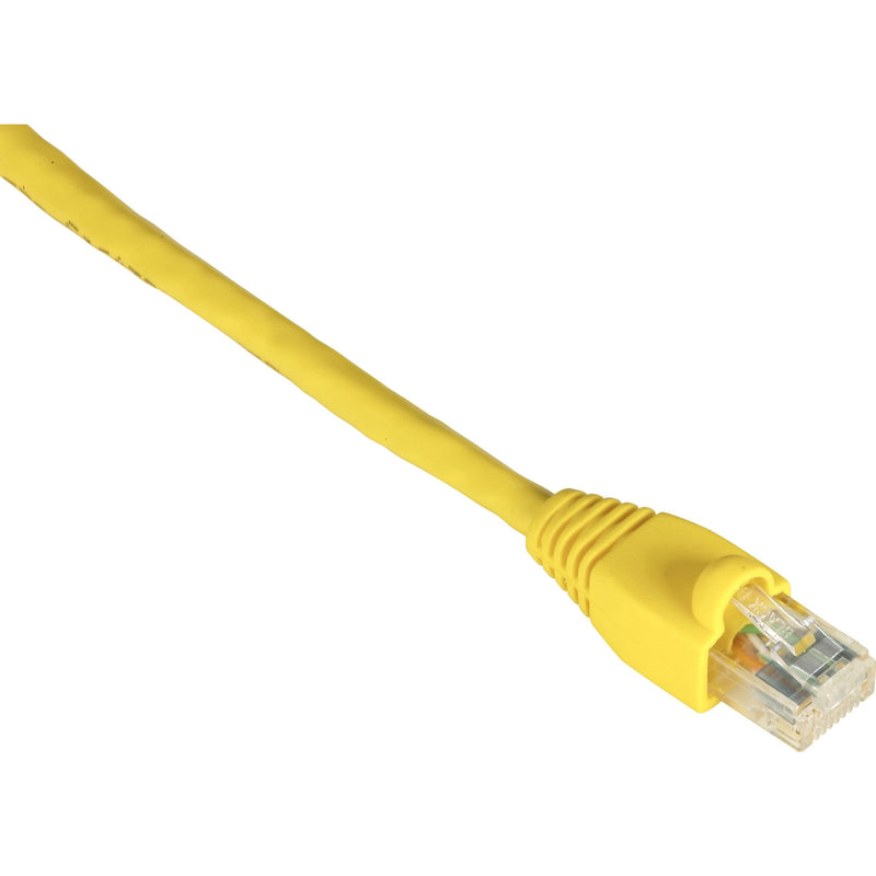 Yellow Cat6 ethernet patch cable with snagless boot and gold-plated RJ-45 connector showing premium construction quality