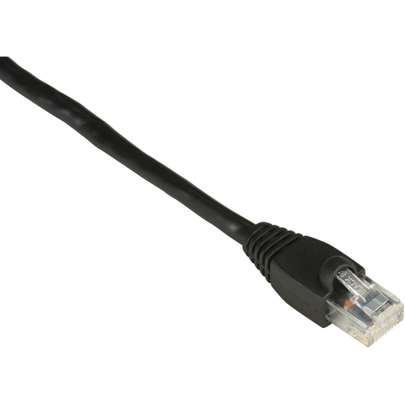 Black Box GigaTrue Cat6 network cable with snagless boot and RJ-45 connector showing gold-plated contacts