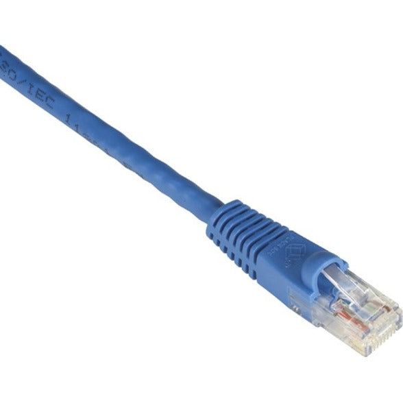 Blue Cat.6 ethernet patch cable with snagless boot and RJ-45 connector close-up view