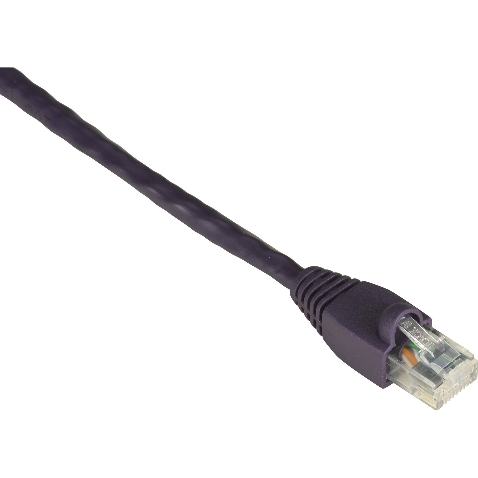 Close-up view of Black Box GigaTrue Cat.6 network cable showing purple jacket and transparent RJ-45 connector with gold-plated contacts-alternate-image1