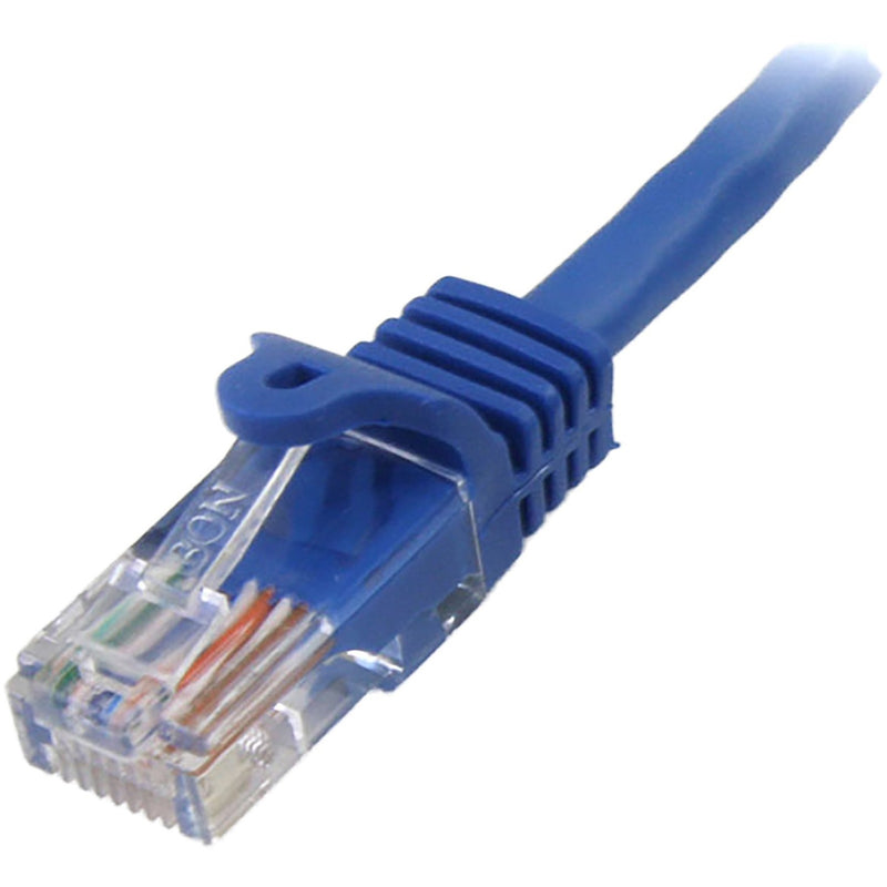 Detailed macro shot of Cat5e ethernet cable connector showing internal wiring and blue strain relief boot