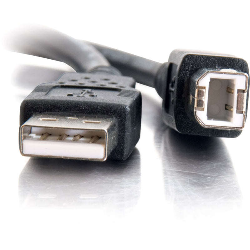 Detailed view of USB Type A and Type B connector ends showing internal contacts